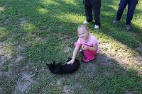 img 5879 29789243807 o